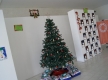 DSC00259