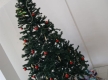 DSC00264