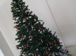 DSC00264