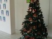 DSC00301