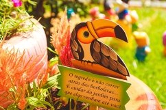 2019-02-03-FAMA-ESCOLA-0291