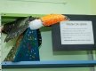 IMG_0788
