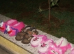 DSC08117