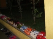 DSC08118