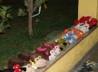 DSC08165