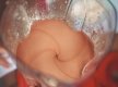2019-04-17-FAMA-PASCOA-1116