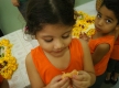 DSC07217