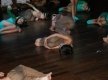 DSC04185