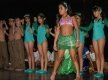 DSC04248