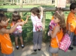 DSC00908_1_