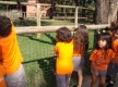 DSC00912_1_