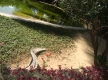 DSC00913_1_