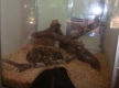 DSC00924_1_