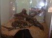 DSC00924_1_