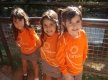 DSC00934_1_