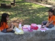 DSC00963_1_