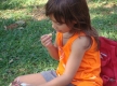 DSC00968_1_