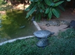 DSC00975_1_