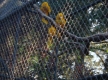DSC00984_1_
