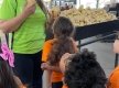 IMG_8921