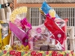 Arraial14-8378