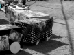 Arraial14-8435