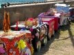 Arraial14-8474