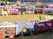 Arraial14-8499