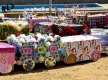 Arraial14-8525