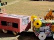 Arraial14-8541