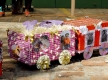 Arraial14-8641