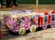 Arraial14-8641