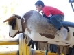 Fama_Quadrilha_0418