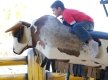 Fama_Quadrilha_0418
