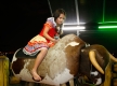 Fama_Quadrilha_1232