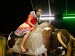 Fama_Quadrilha_1232