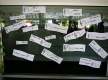 Fama_Quadrilha_0036