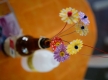 Fama_Quadrilha_0069