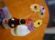 Fama_Quadrilha_0069